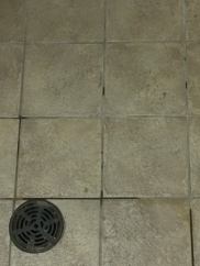 25564538_912893838879443_1760988486_n