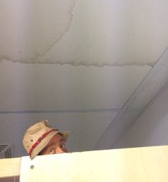 28308473_950957731739720_867403348_n