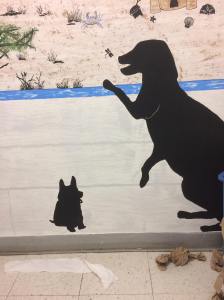 28944194_966701790165314_612278123_o