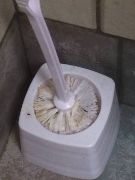 34596423_1013528562149303_4572403895350853632_n