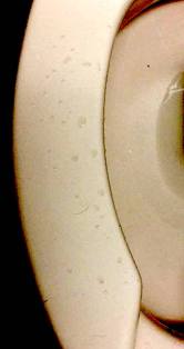 34666110_1013526252149534_5415220987295694848_n