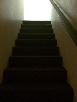 38845796_1807967232651926_5559880369202790400_n