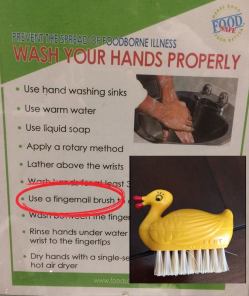 38859511_268443130422267_2006345215857655808_n