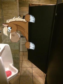 39105156_466342087178463_5405672982938910720_n