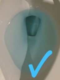 39602940_464455874069190_45290786618605568_n