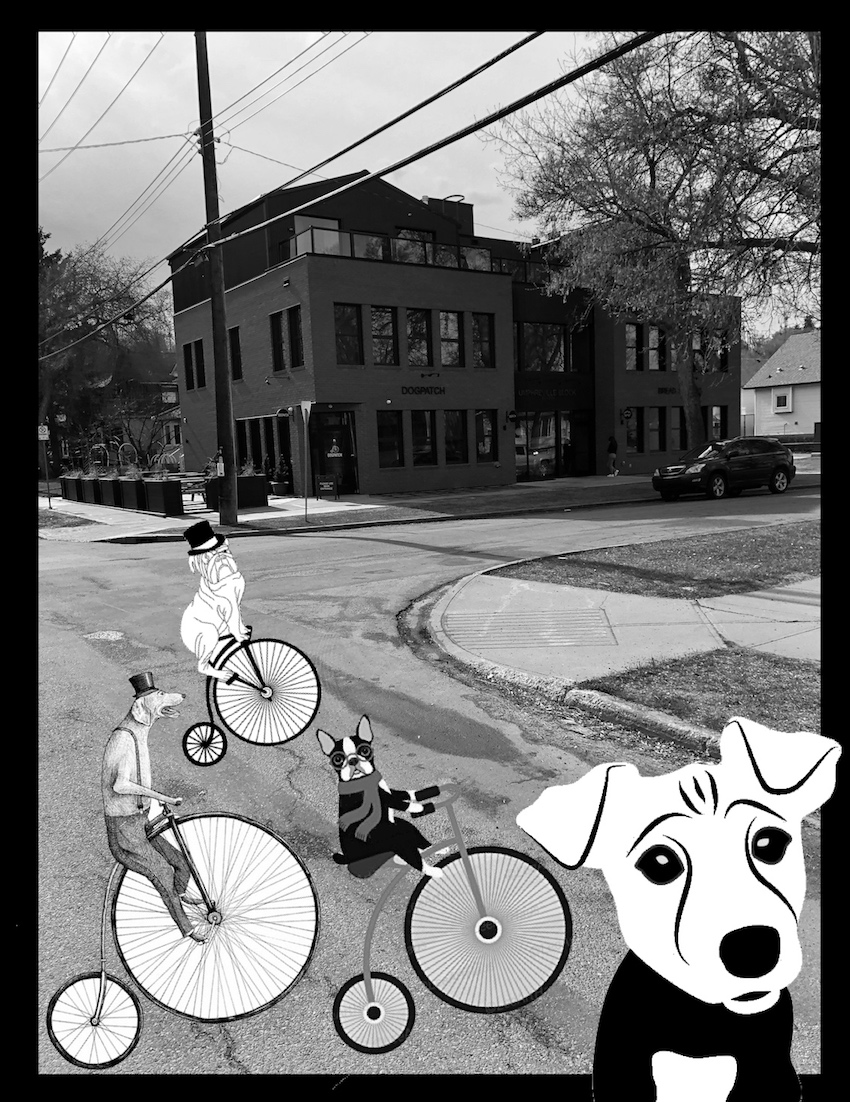 Dogpatch bulldog mascot riding penny farthing bikes with two other cartoon dogs, also on bikes. 