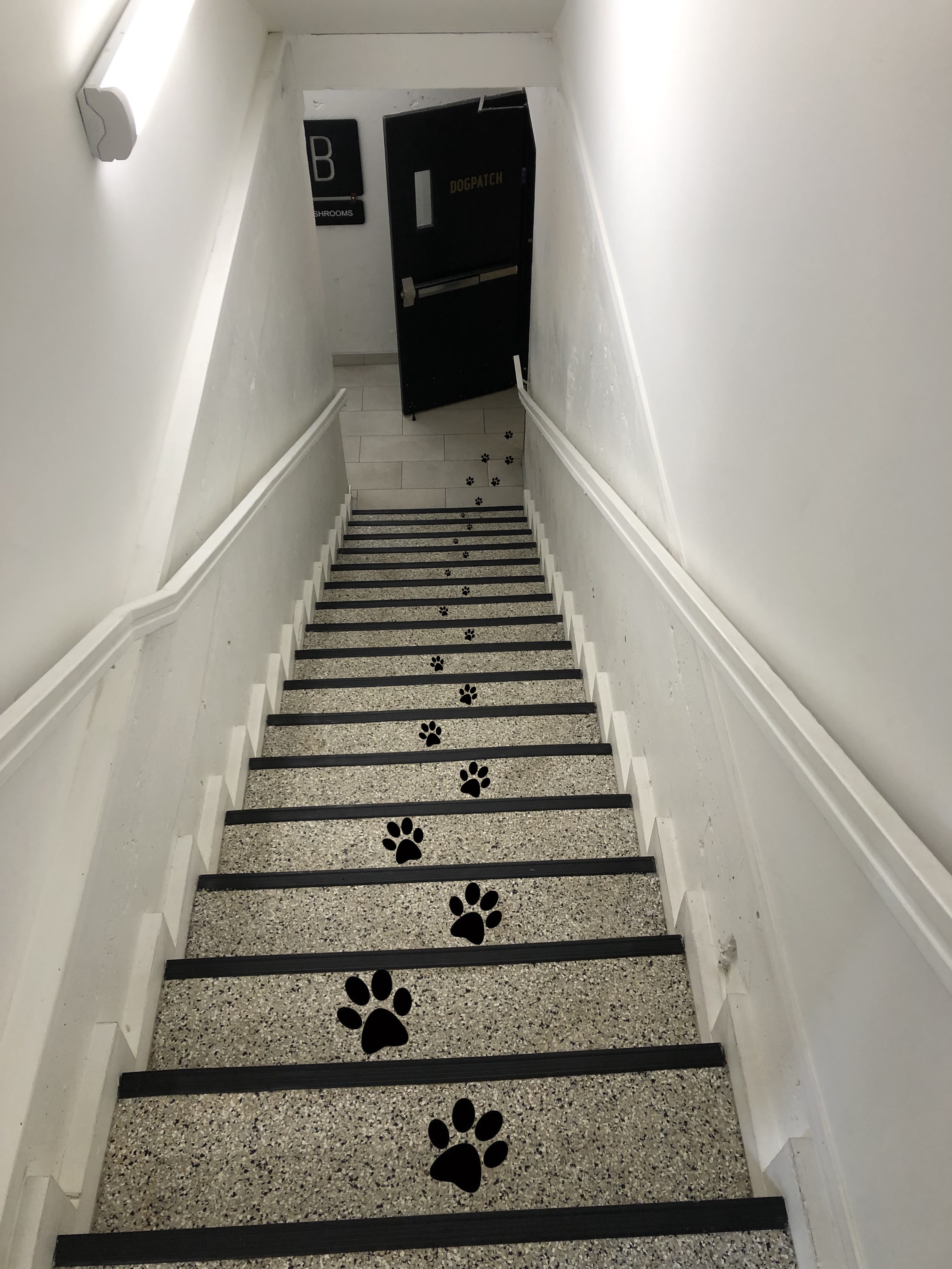 Cartoon paw prints following a staircase down to the Dogpatch's restroom in the basement. 