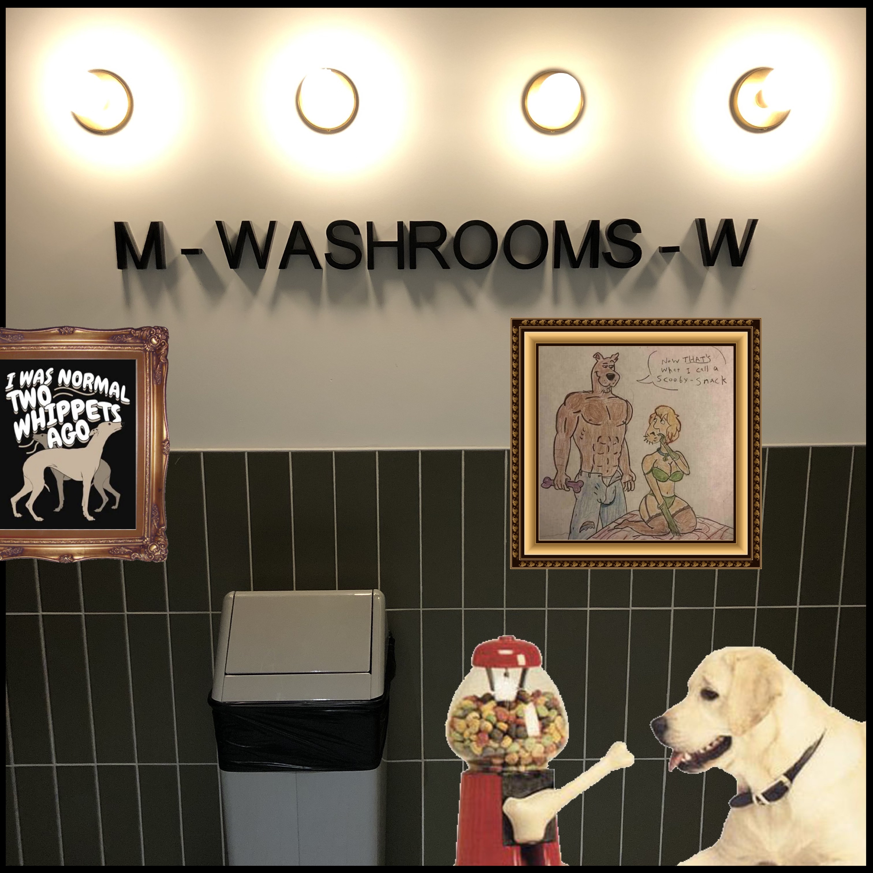 The Communal Washroom Area Separated by "M" and "W" signs. A fictional dog-treat gumball dispenser is on the floor.  