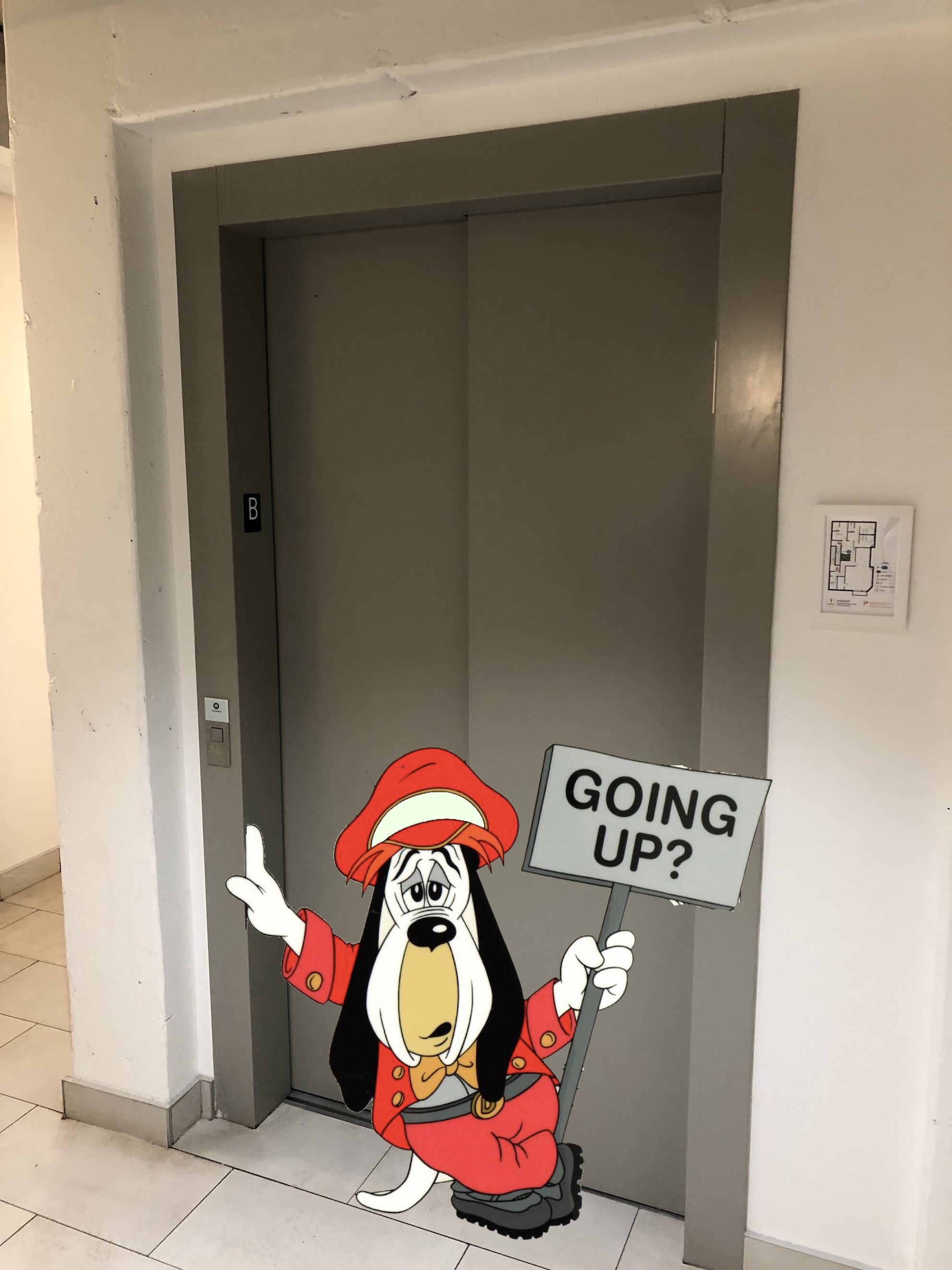 Dog standing outside the elevator with sign that says "Going Up?" 