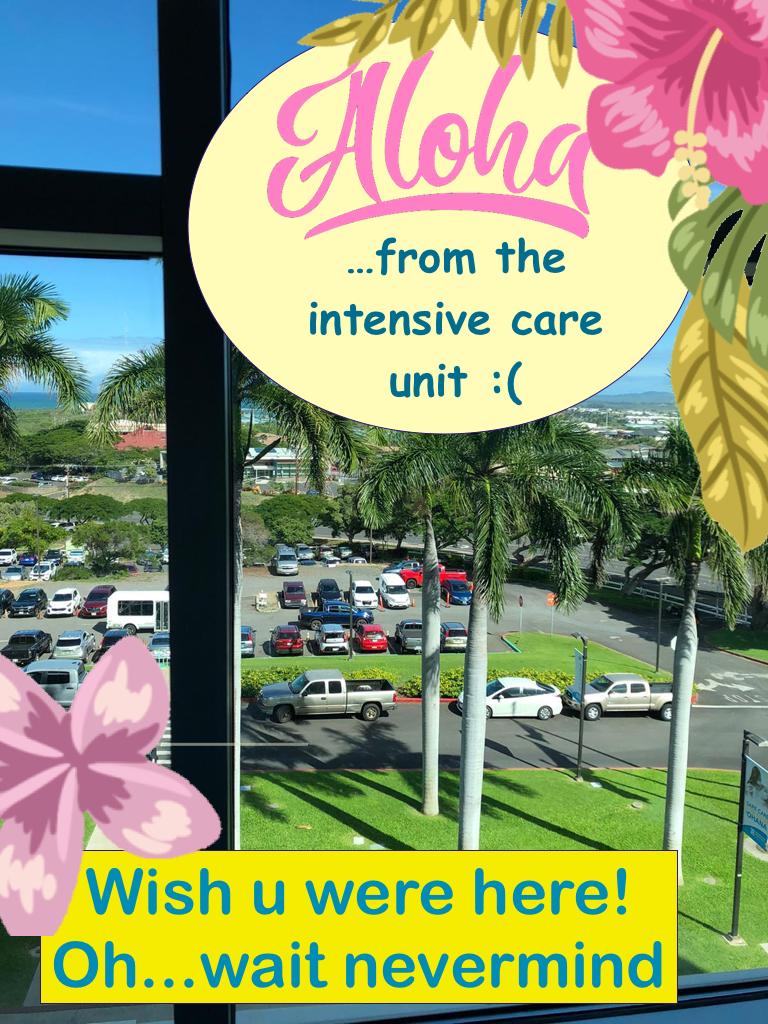 View from the window at Memorial Hospital, Maui. It says "Wish you were here. Oh wait, nevermind!" 