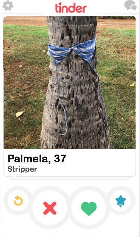 Tinder screen with palm tree wearing a bra. "Palmela, 37. Stripper." 