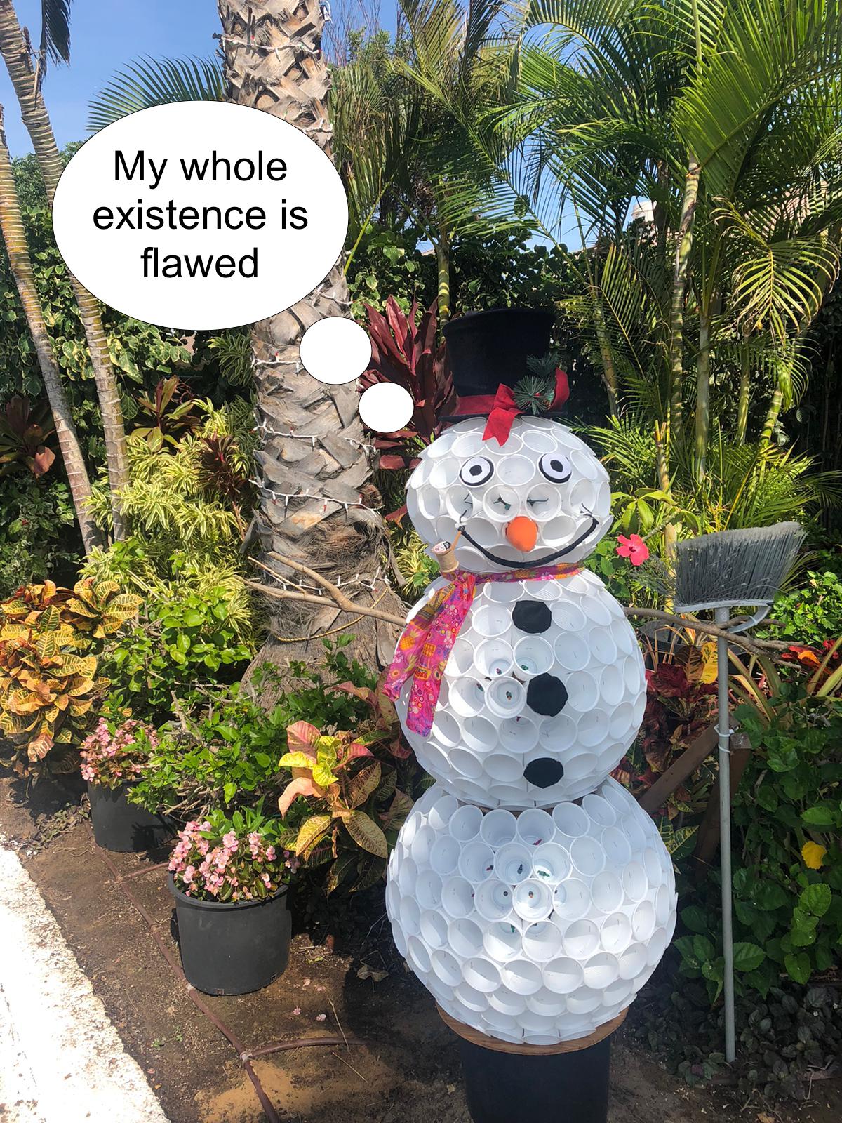 Snowman made from white plastic cups surrounded by tropical foliage. Thought bubble says "My whole existence is flawed." 