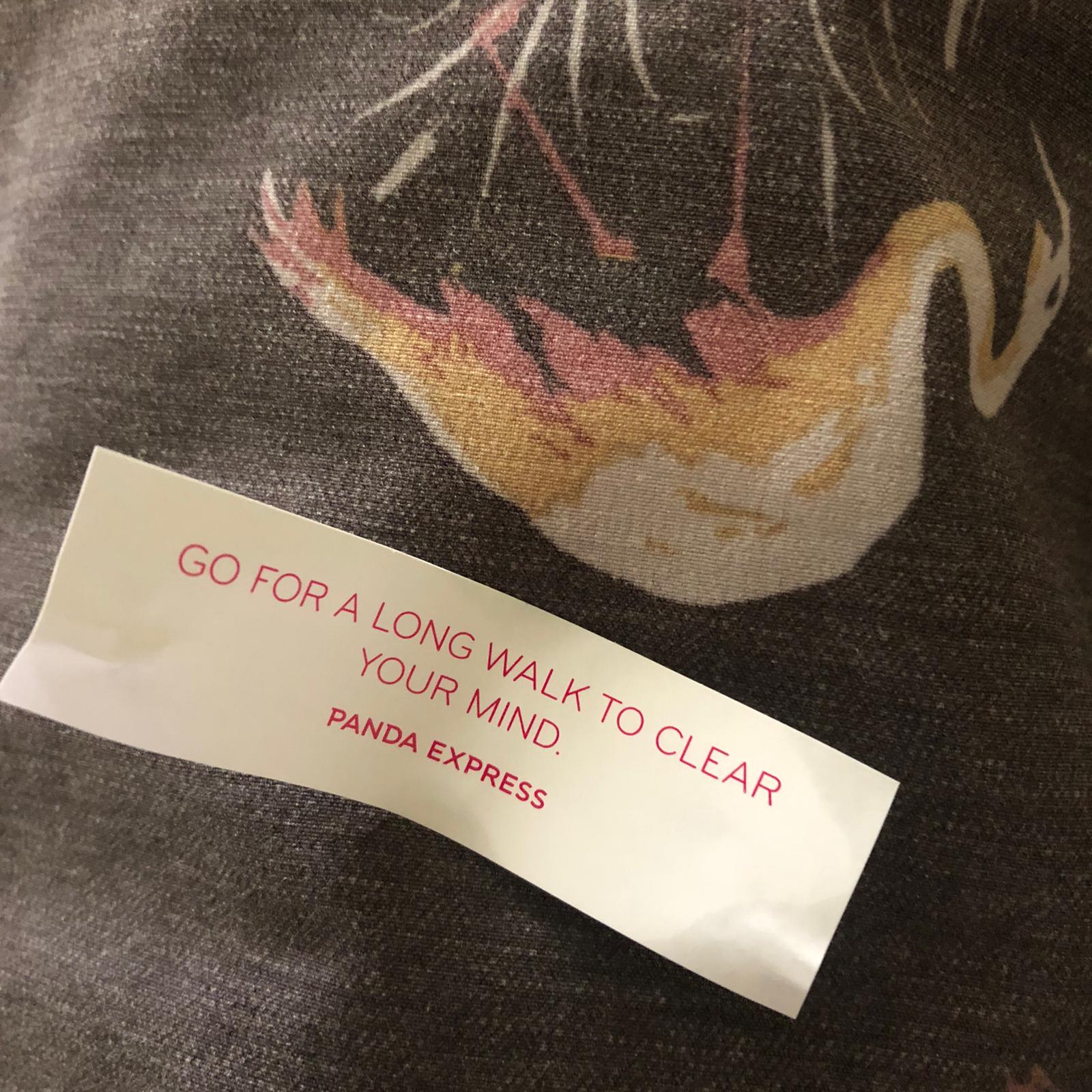 Fortune that says "Go for a long walk to clear your mind." 