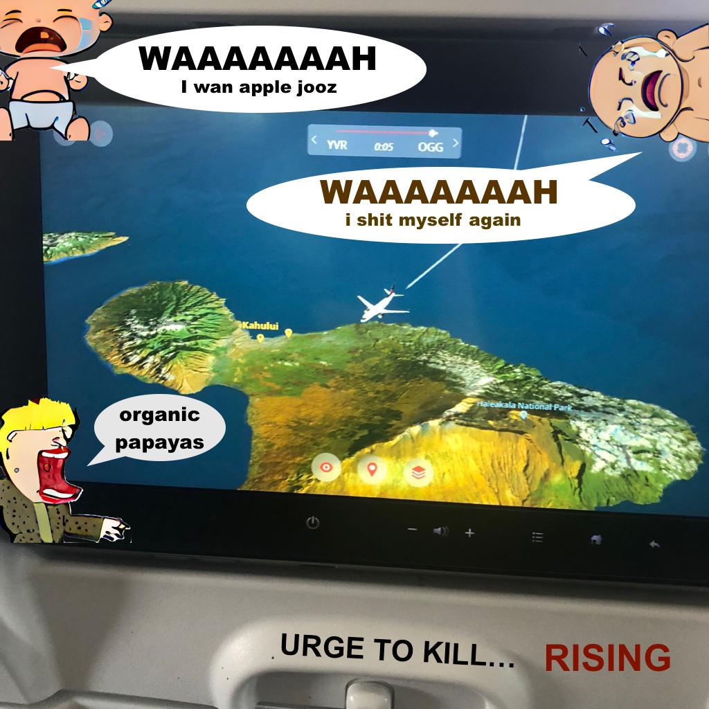 Photo on airplane. Babies screaming: "I want apple juice," "I shit myself again" and a woman saying "organic papayas." 