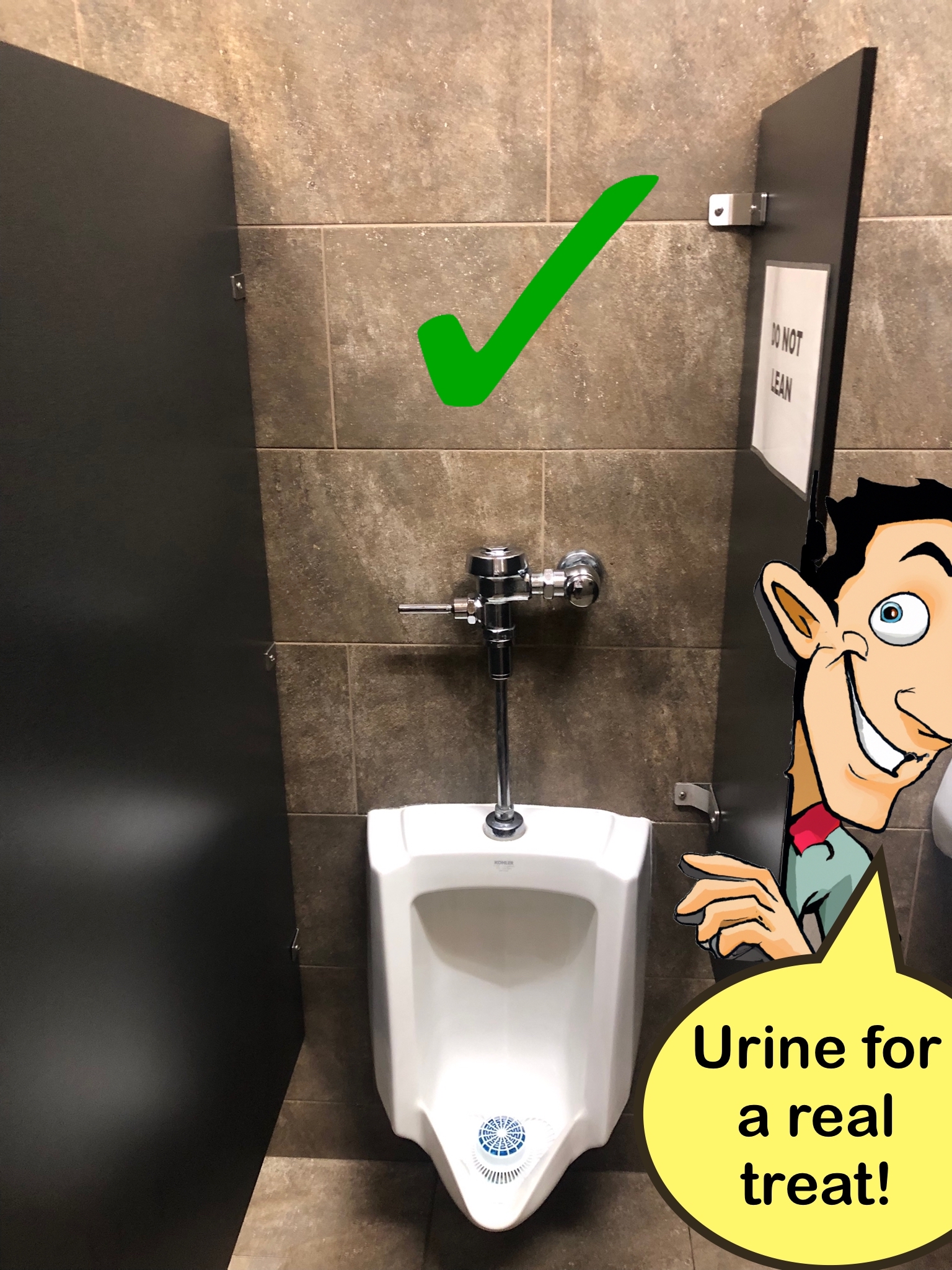 A KOHLER Urinal with a green check mark above it. A cartoon man is poking his head out at you saying "Urine for a real treat." 