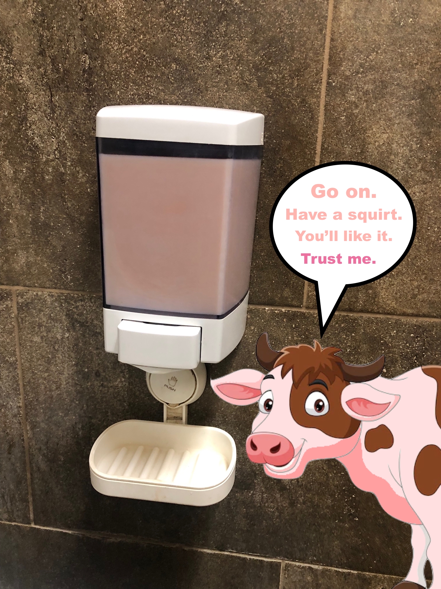 A liquid soap dispenser filled with pink hand soap. A pink cartoon cow is smiling, saying "Go on. Have a Squirt. You'll Like it. Trust Me." 